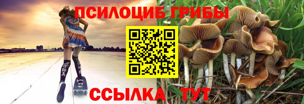 Галлюциногенные грибы мицелий  Вход с VPN  Калуга 