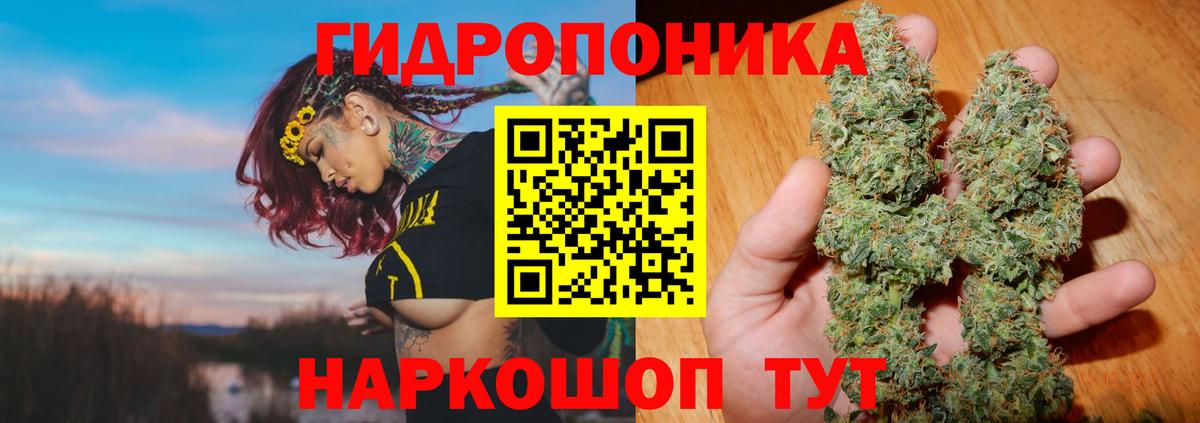 Конопля OG Kush  Вход с VPN  Калуга  Конопля Bruce Banner  Конопля ГИДРОПОН 